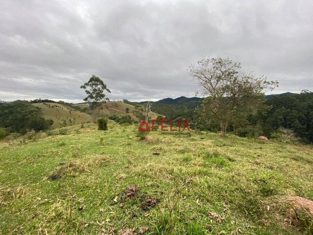 Terreno, 10 hectares - Foto 4