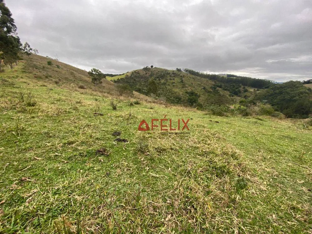 Terreno, 10 hectares - Foto 3
