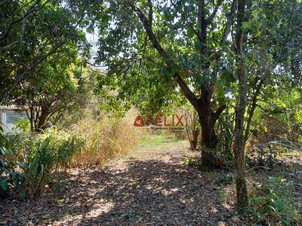 Terreno, 6000 m² - Foto 6