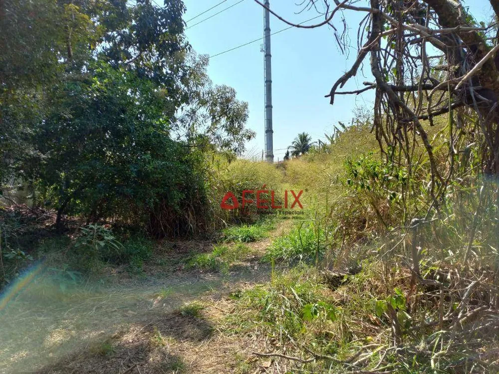 Terreno, 6000 m² - Foto 4