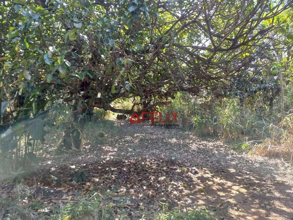 Terreno, 6000 m² - Foto 7