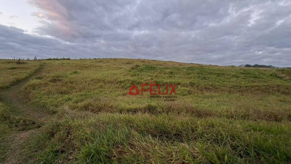 Sítio, 1 quarto, 2150 m² - Foto 3