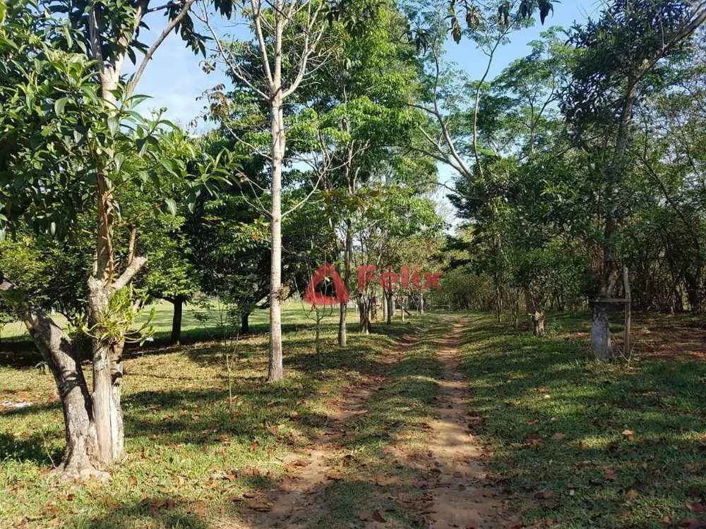 Chácara, 4 quartos, 3 hectares - Foto 17