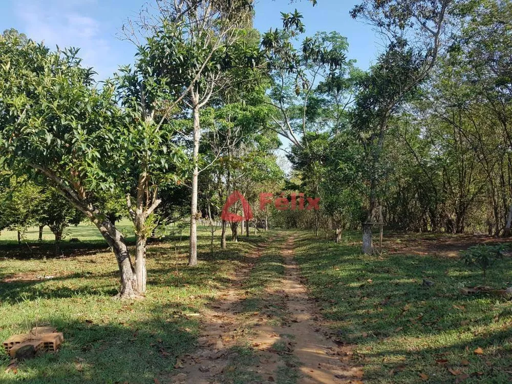 Chácara, 4 quartos, 3 hectares - Foto 9