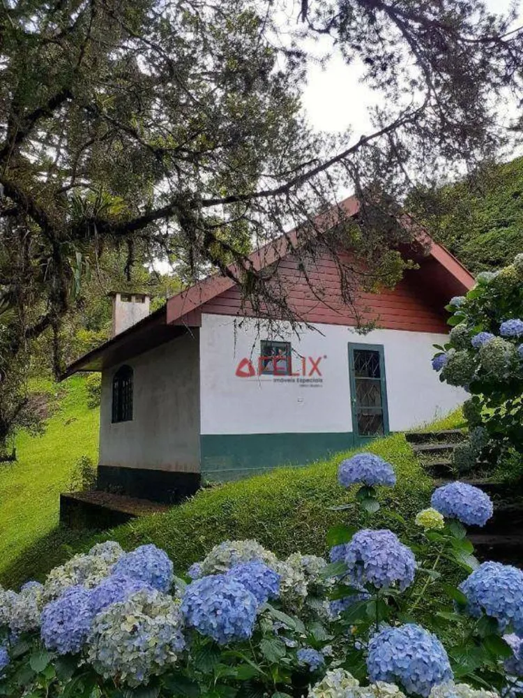 Casa, 3 quartos, 760 m² - Foto 14