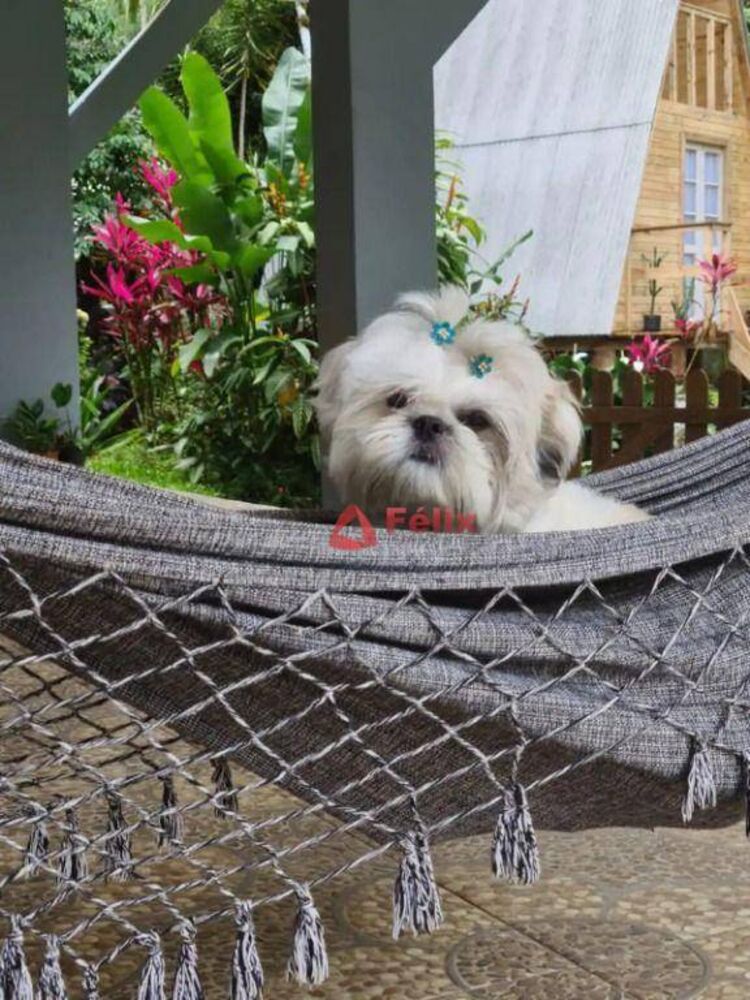 Sobrado, 3 quartos, 352 m² - Foto 4