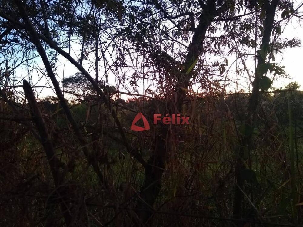 Terreno, 2 hectares - Foto 4