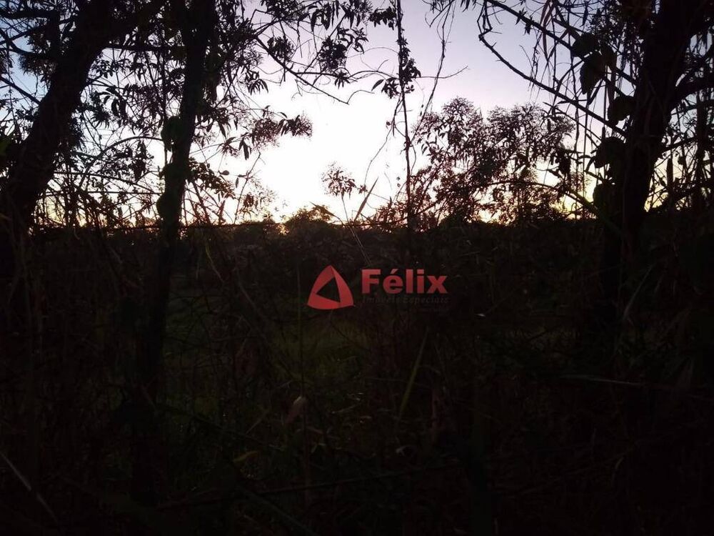Terreno, 2 hectares - Foto 1