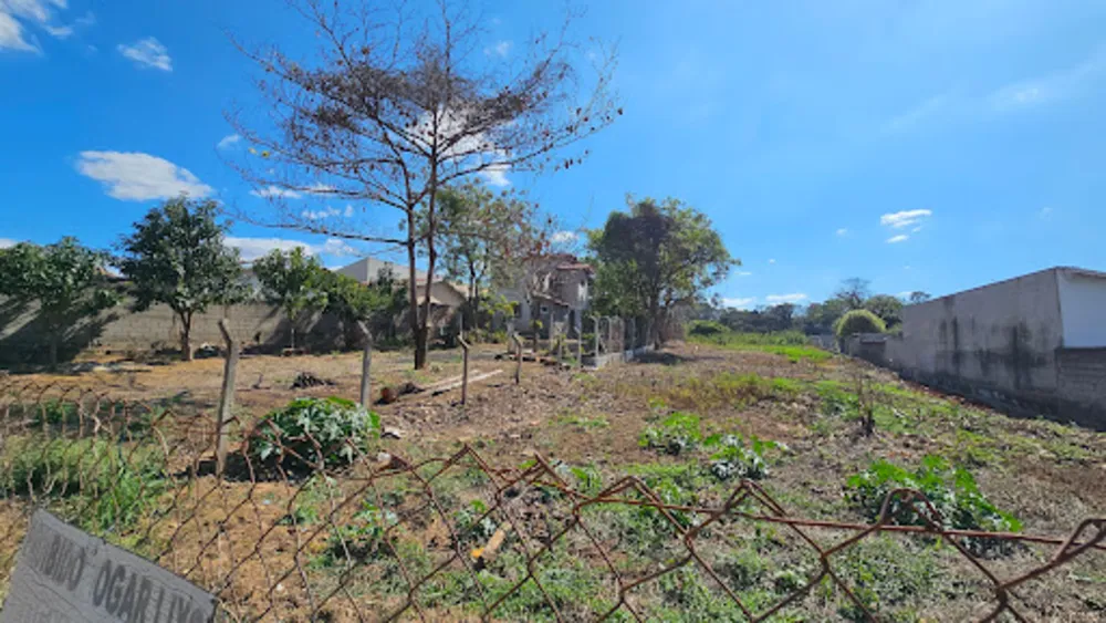 Terreno, 7000 m² - Foto 1