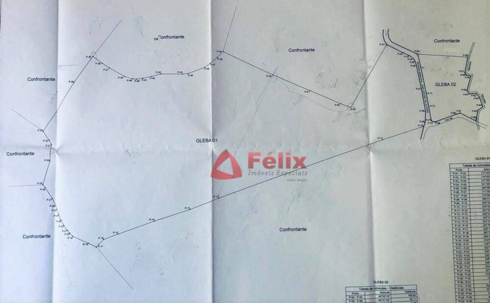 Terreno, 21 hectares - Foto 2