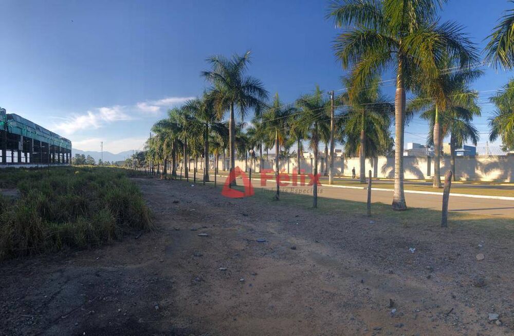 Depósito-Galpão, 6000 m² - Foto 3