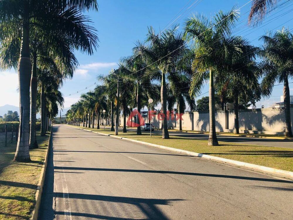 Depósito-Galpão, 6000 m² - Foto 2