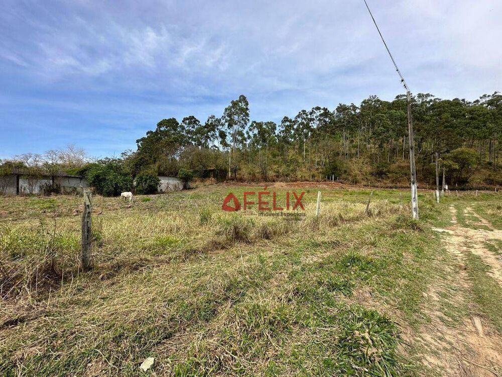 Terreno, 4 hectares - Foto 5