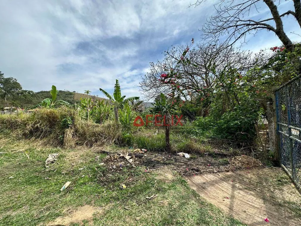 Terreno, 4 hectares - Foto 7