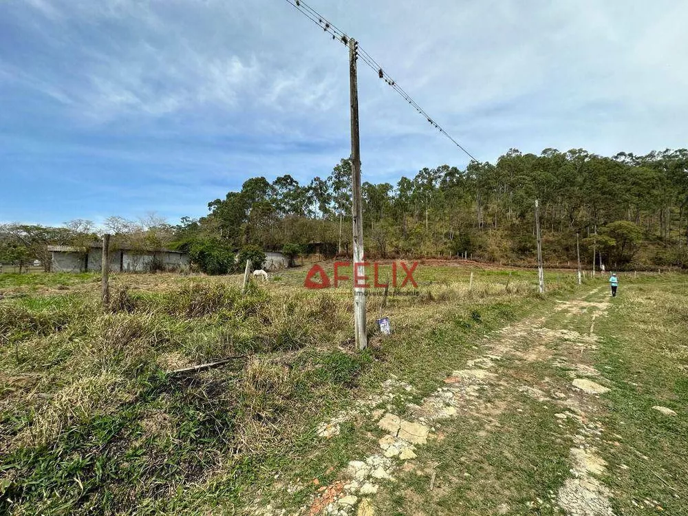 Terreno, 4 hectares - Foto 4