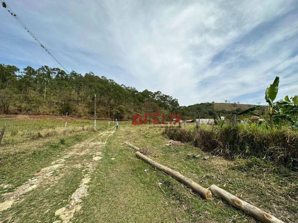 Terreno, 4 hectares - Foto 8