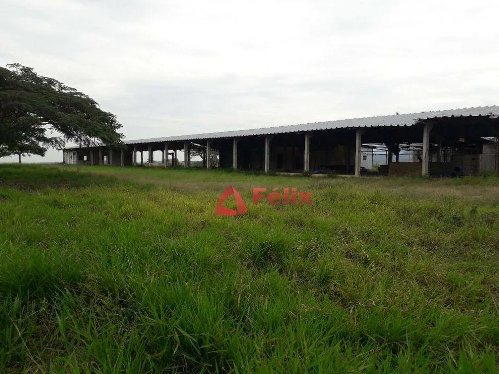 Terreno, 97 hectares - Foto 3