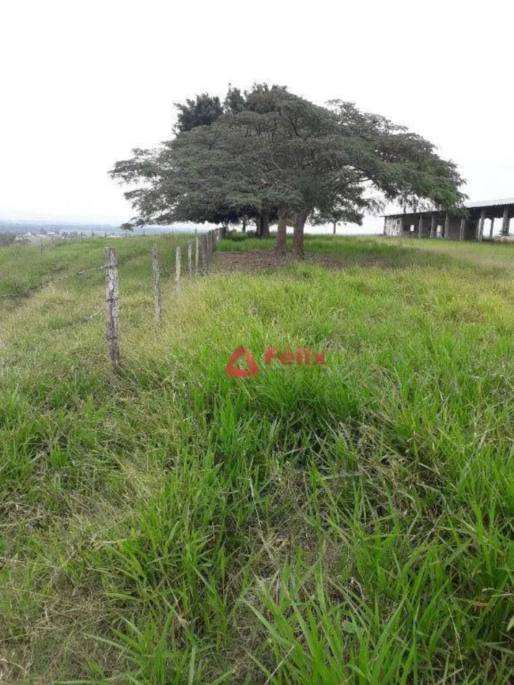 Terreno, 97 hectares - Foto 6