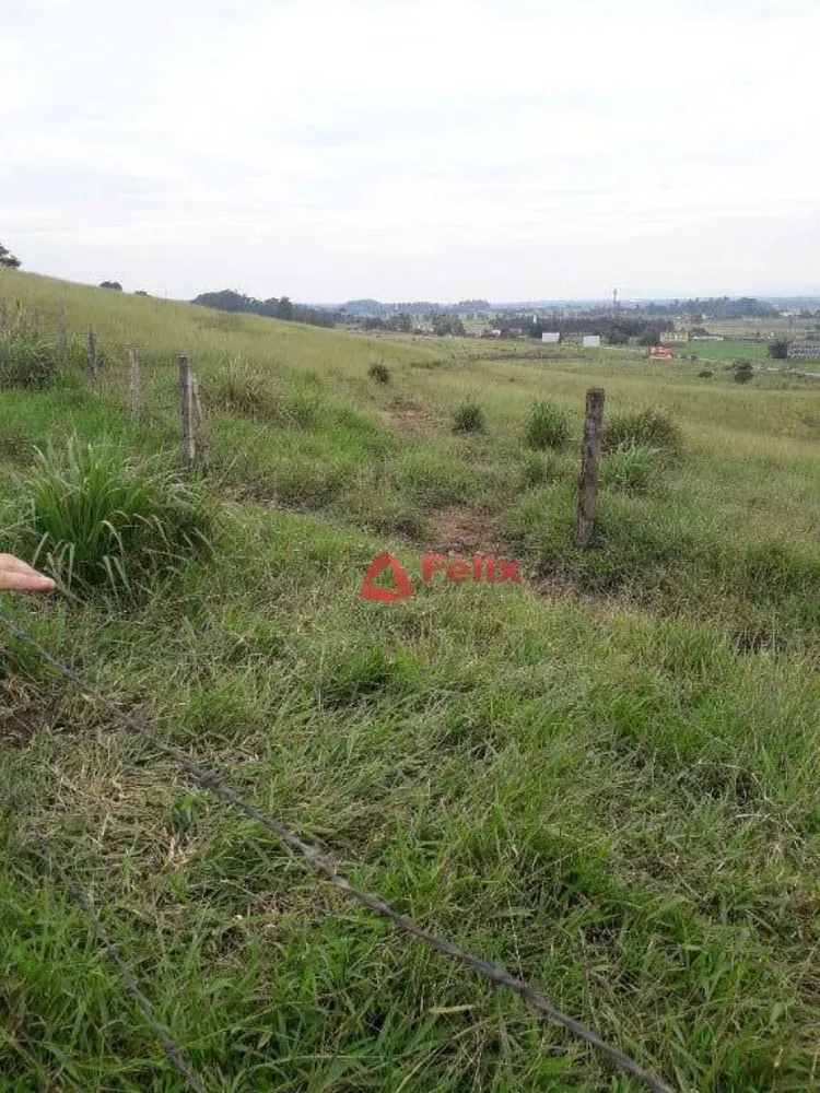 Terreno, 97 hectares - Foto 2