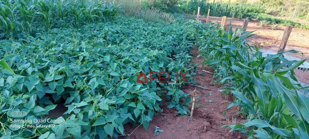Terreno, 2 hectares - Foto 3