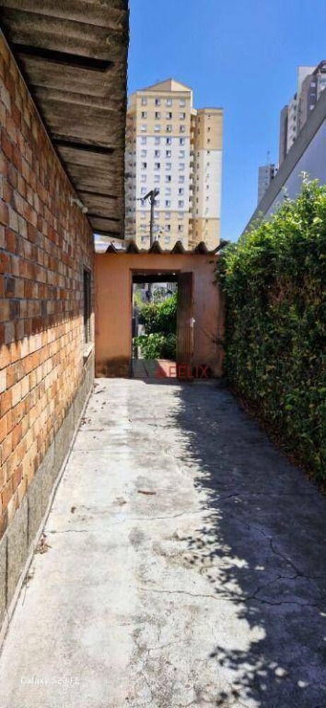 Casa, 4 quartos, 230 m² - Foto 4