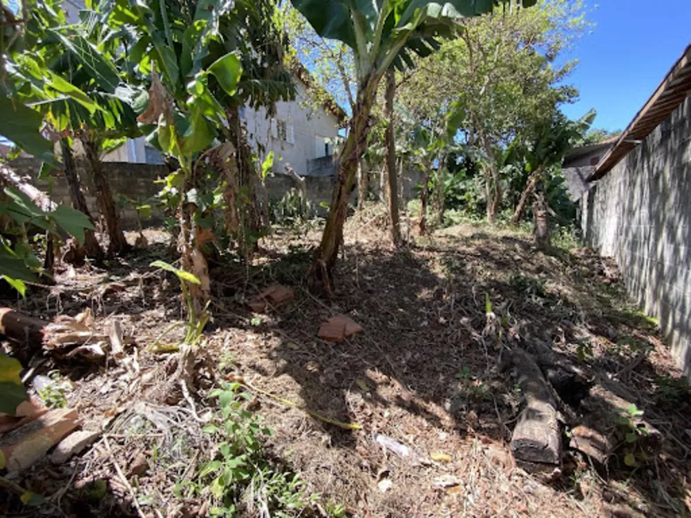 Terreno, 250 m² - Foto 3