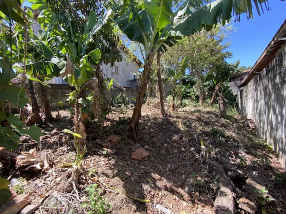 Terreno, 250 m² - Foto 2