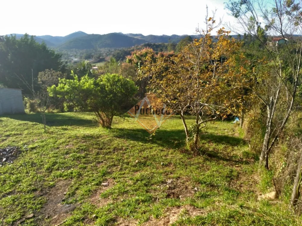 Chácara, 2 quartos, 1000 m² - Foto 4