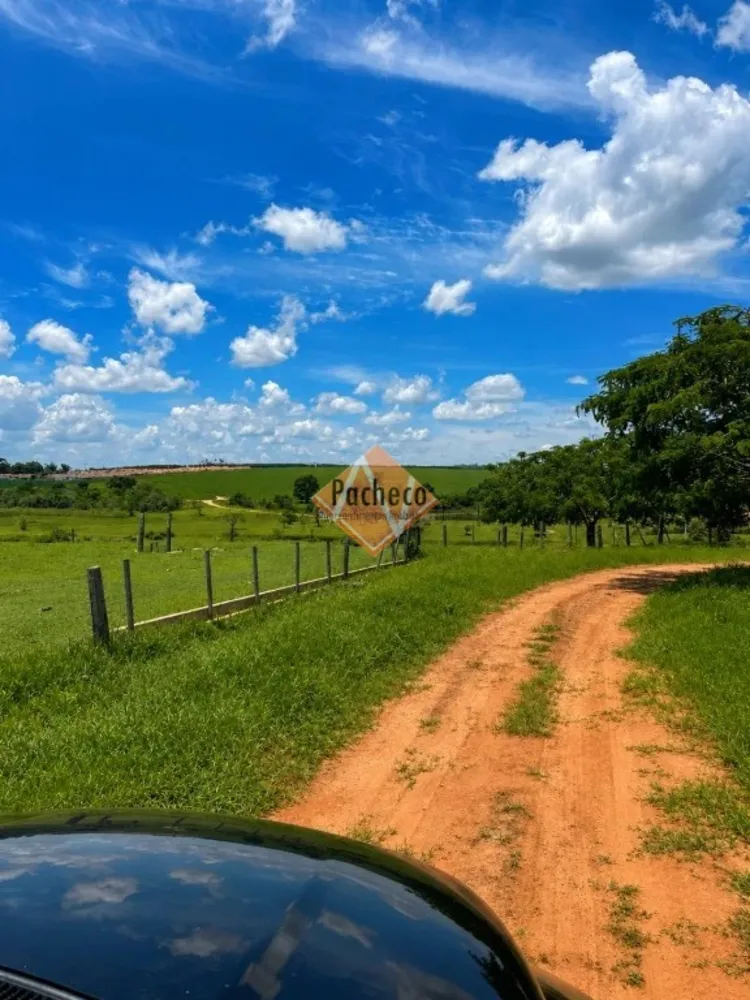 Fazenda, 1128 hectares - Foto 7