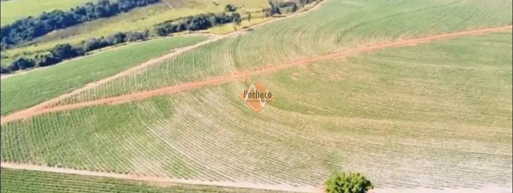 Fazenda, 1128 hectares - Foto 10