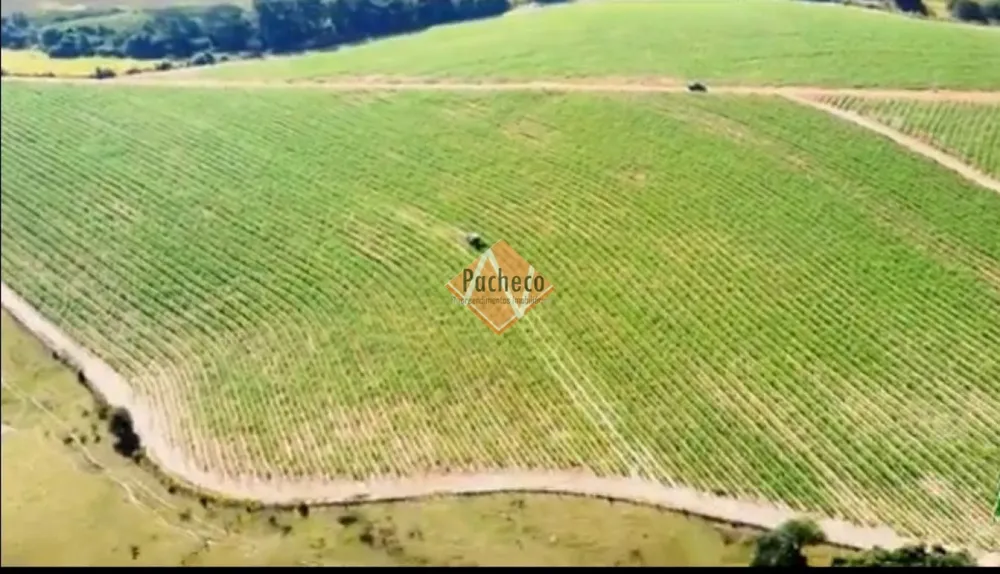 Fazenda, 1128 hectares - Foto 6