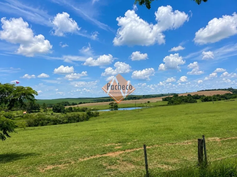 Fazenda, 1128 hectares - Foto 4