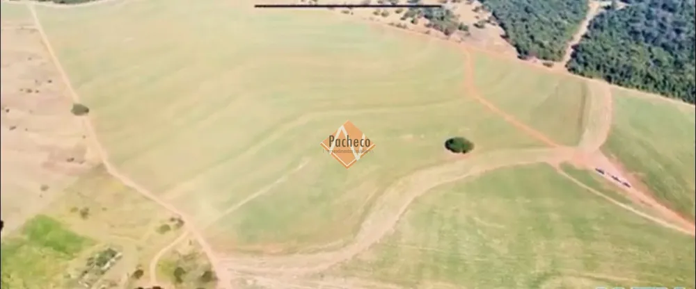 Fazenda, 1128 hectares - Foto 8