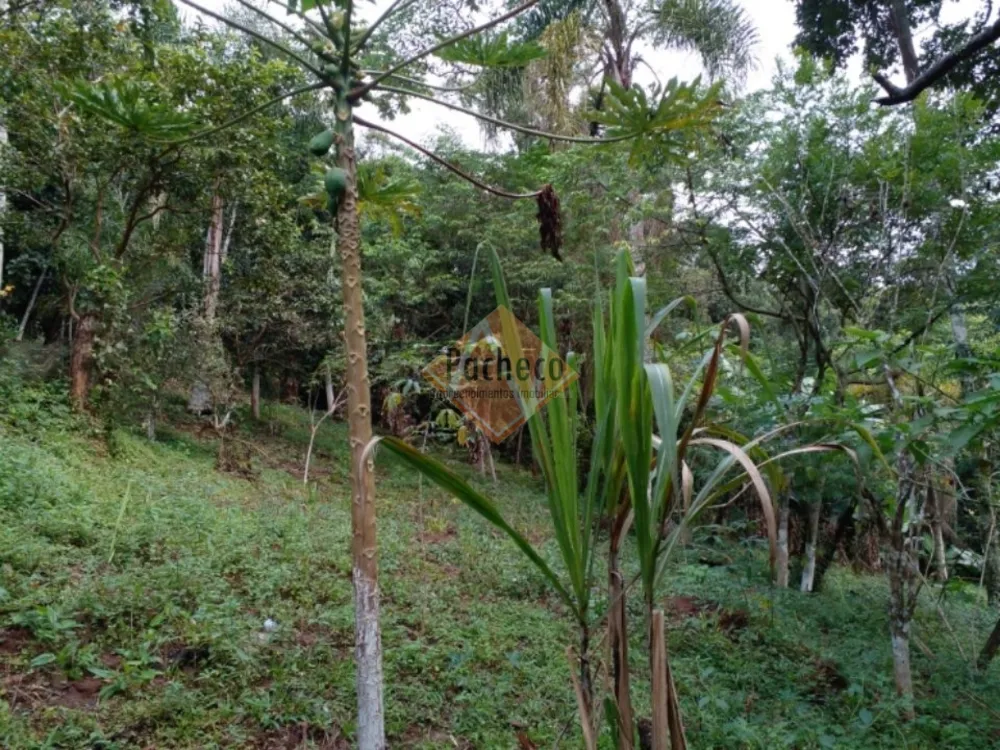 Chácara, 2 quartos, 3030 m² - Foto 5