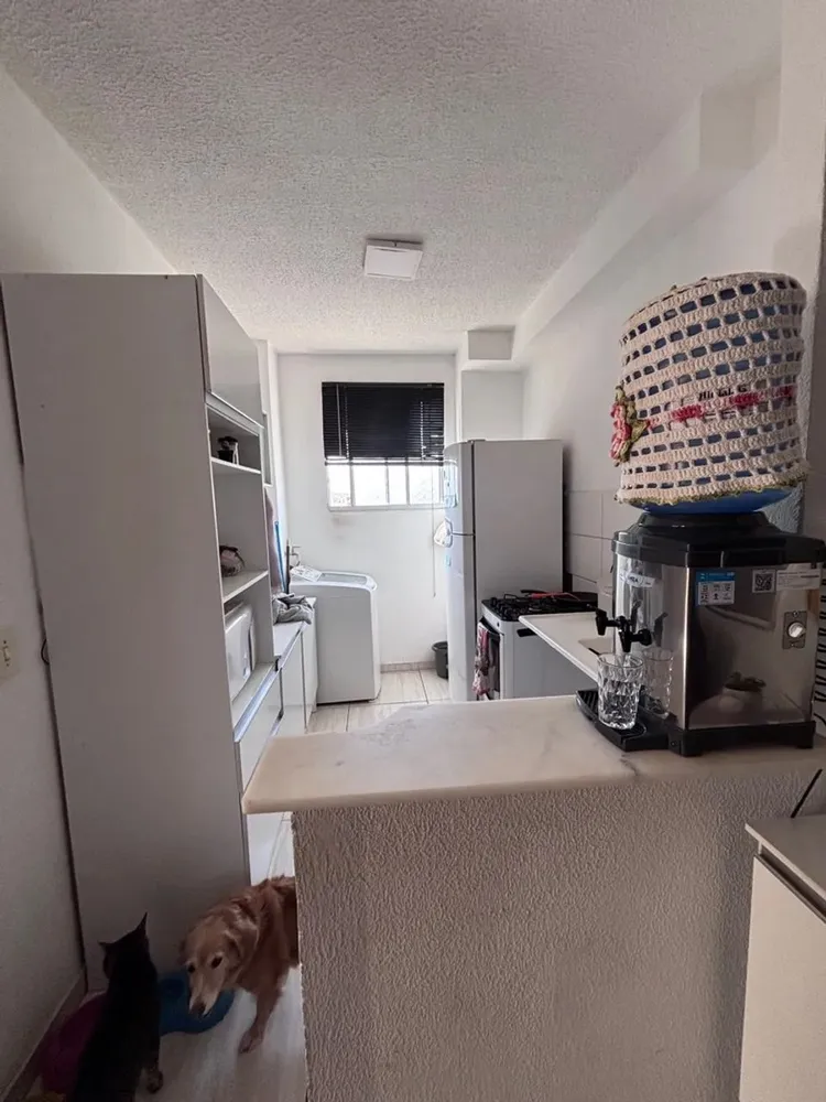 Apartamento, 2 quartos, 42 m² - Foto 2
