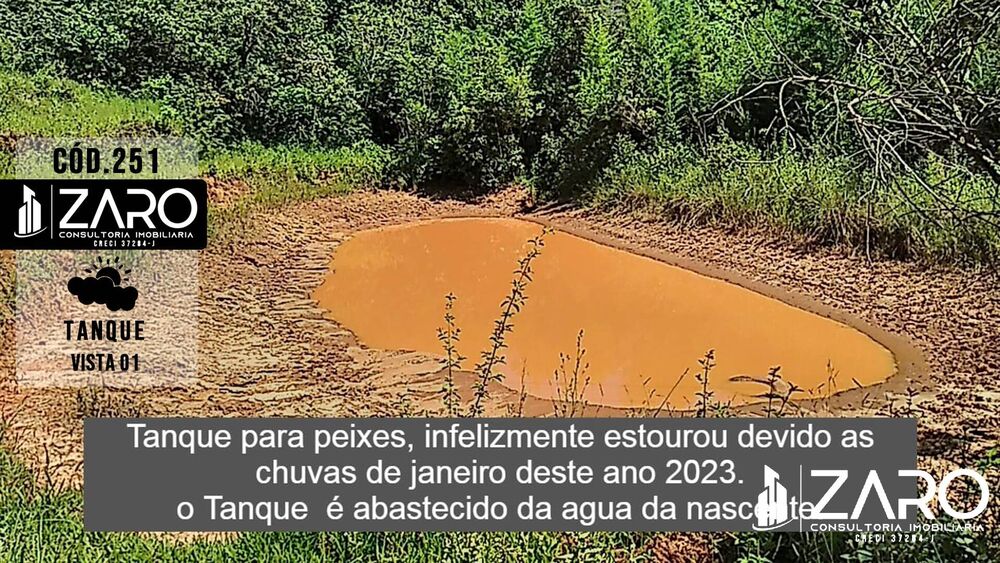 Sítio, 2 quartos, 8 hectares - Foto 9