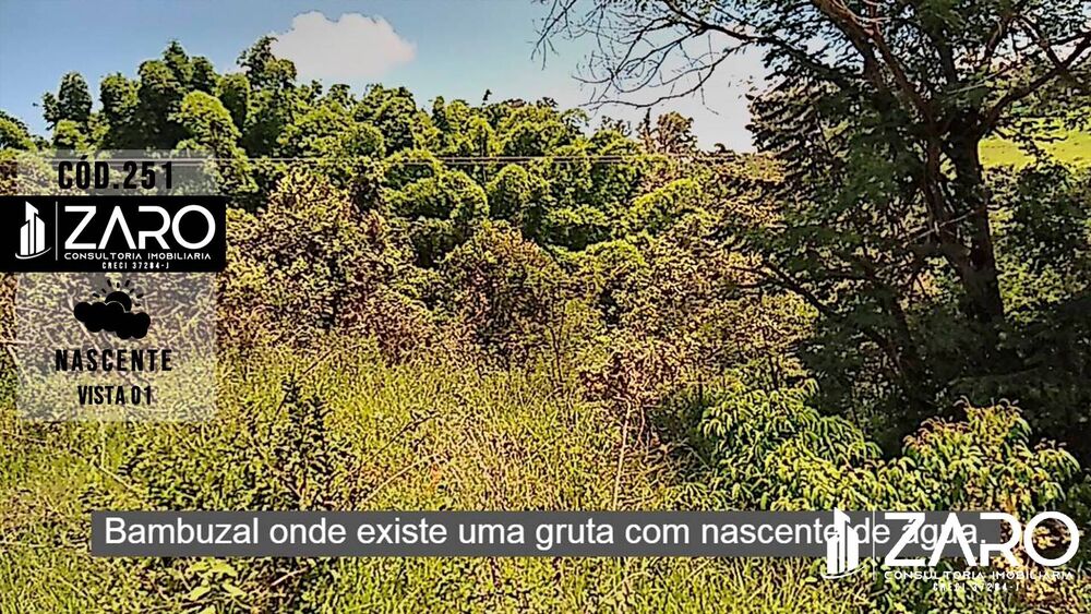 Sítio, 2 quartos, 8 hectares - Foto 8