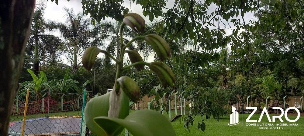 Chácara à venda com 3 quartos, 2000m² - Foto 1