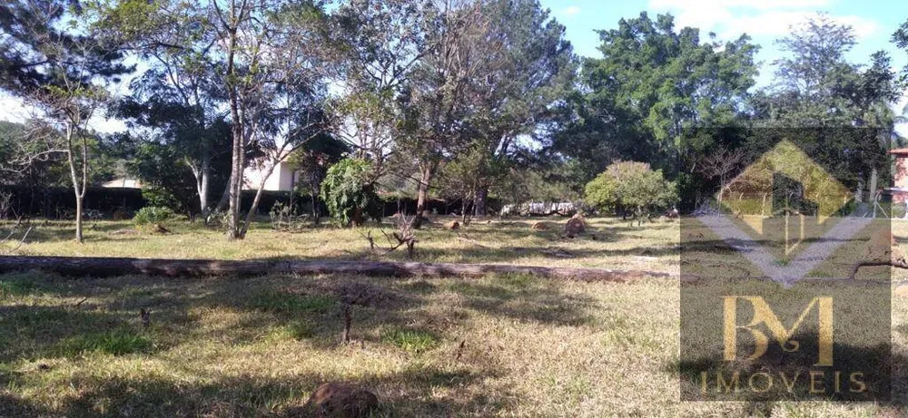 Terreno, 6400 m² - Foto 8
