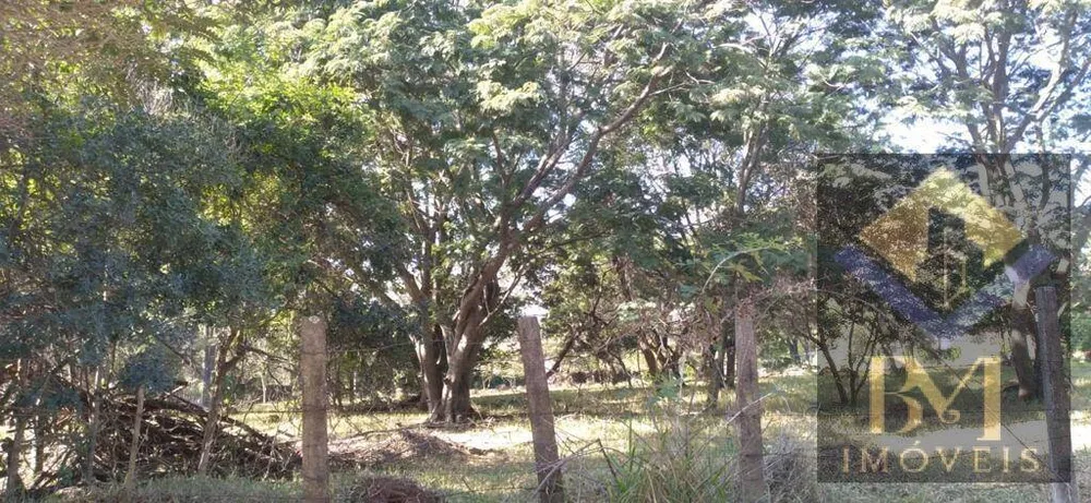 Terreno, 6400 m² - Foto 4