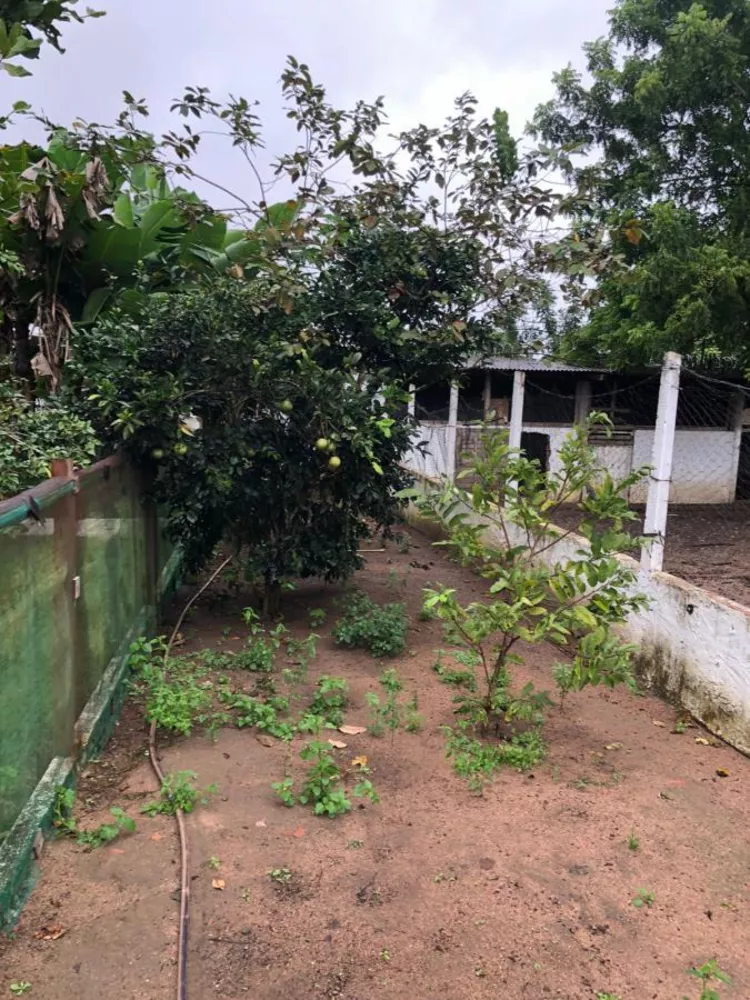 Chácara, 3 quartos - Foto 4