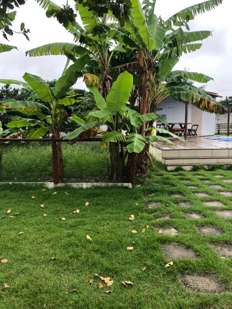 Chácara, 3 quartos - Foto 24