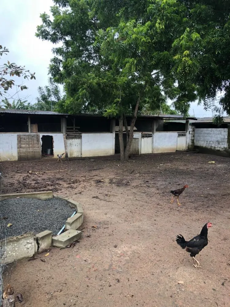 Chácara, 3 quartos - Foto 5