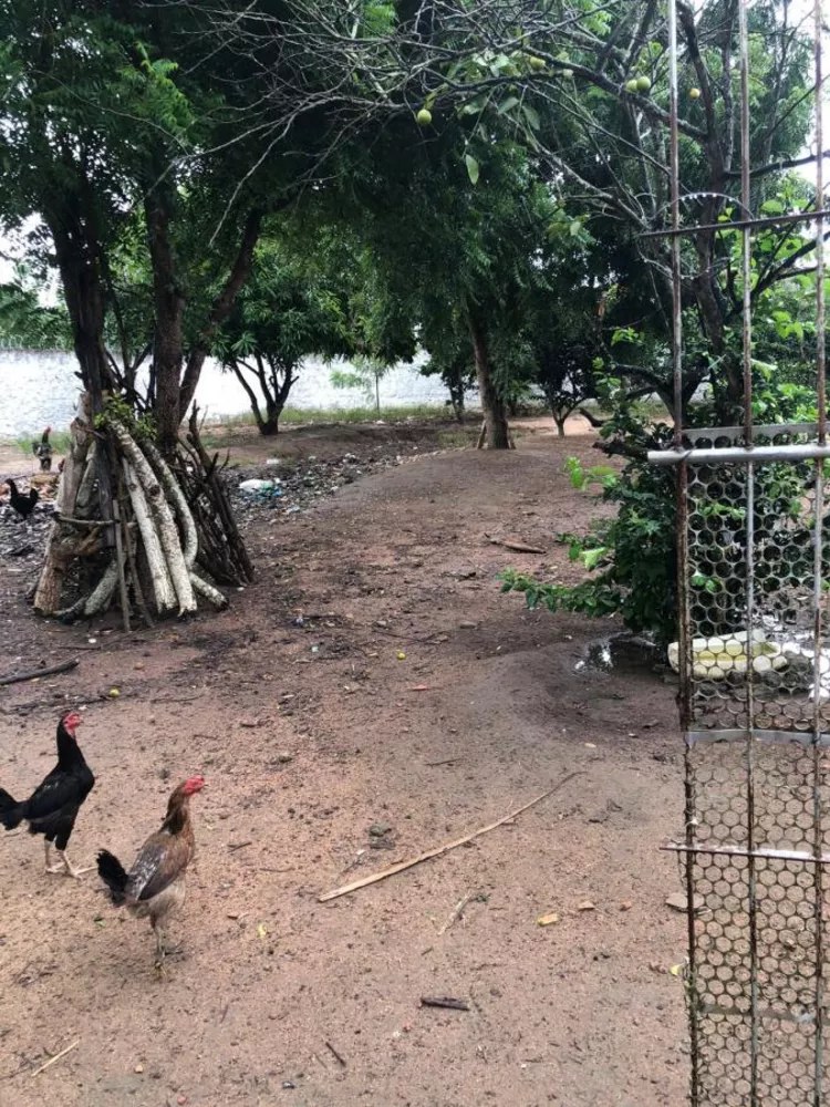 Chácara, 3 quartos - Foto 6