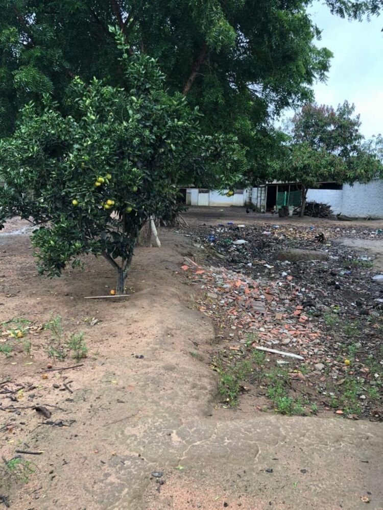 Chácara, 3 quartos - Foto 7