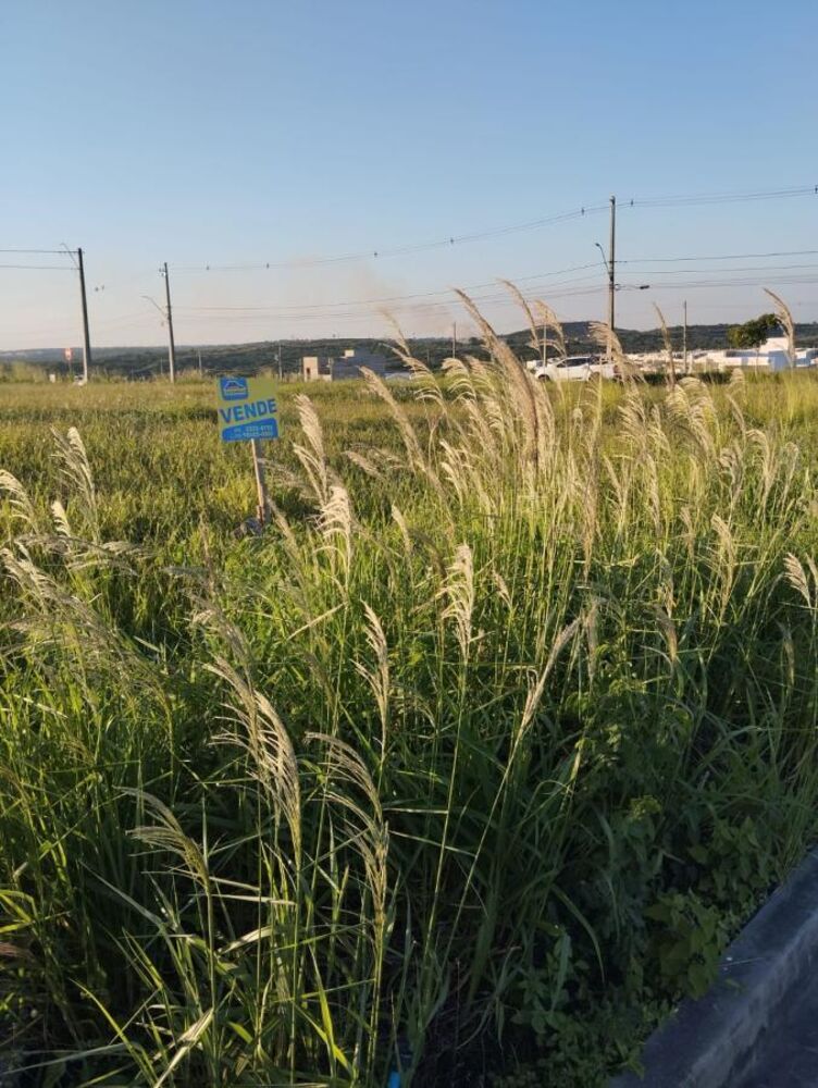 Terreno, 160 m² - Foto 9