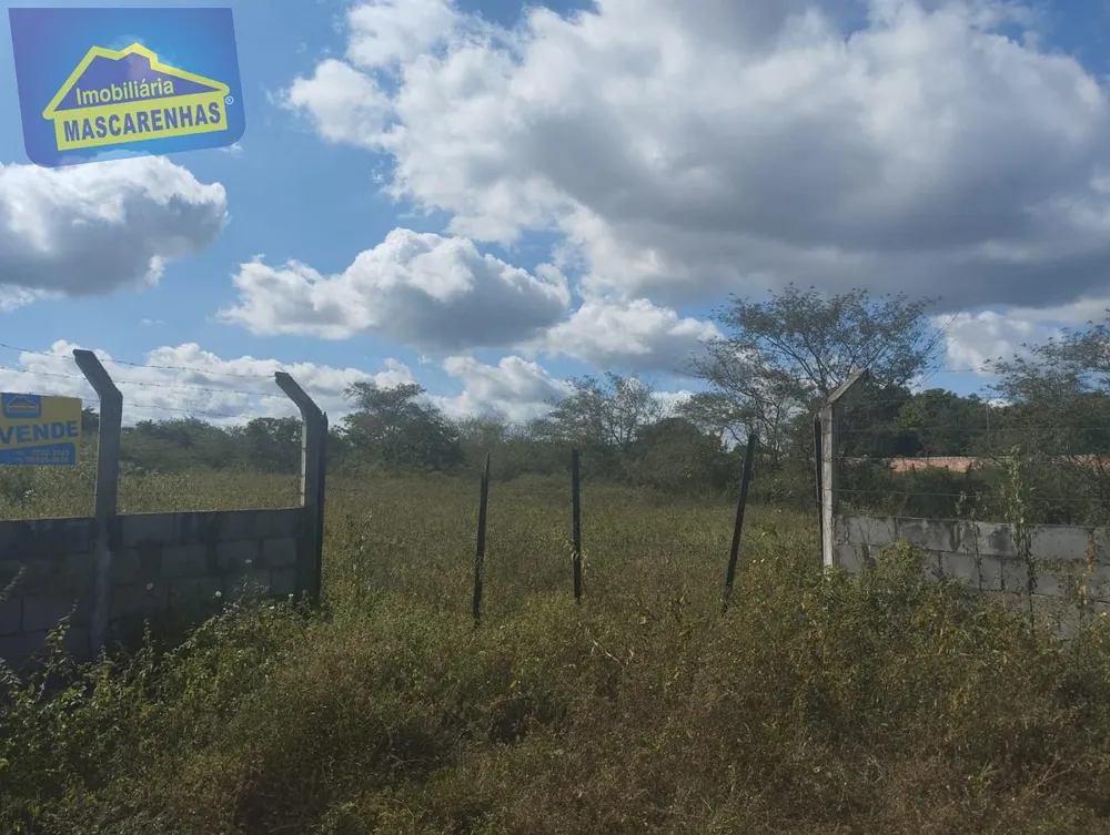 Terreno - Foto 4