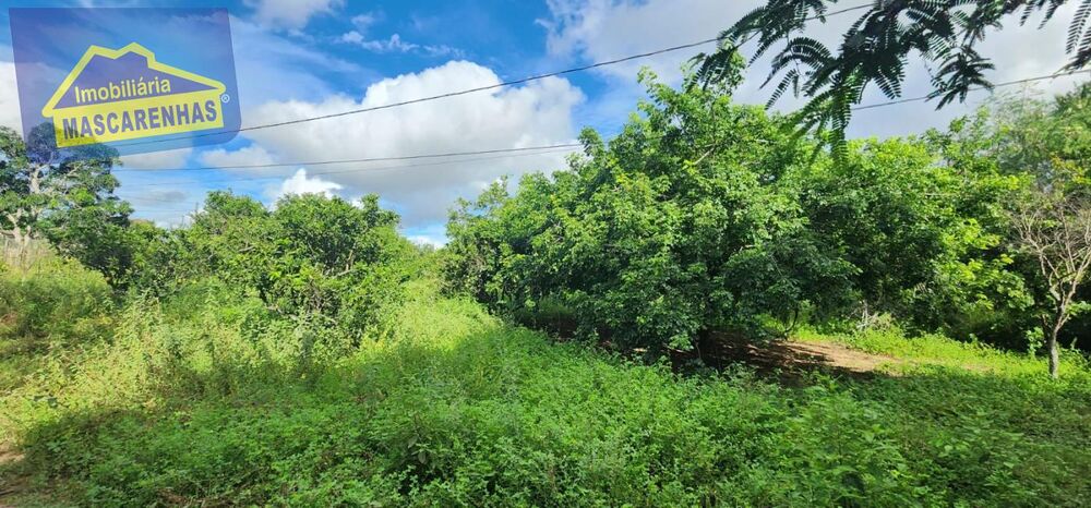 Chácara, 3 quartos, 1 hectares - Foto 17