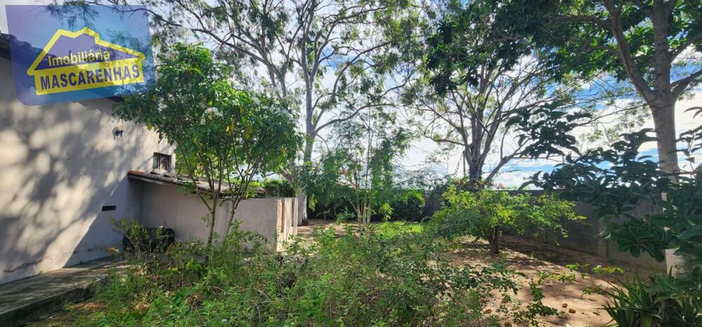 Chácara, 3 quartos, 1 hectares - Foto 18