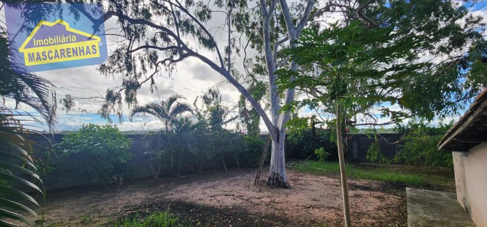 Chácara, 3 quartos, 1 hectares - Foto 13